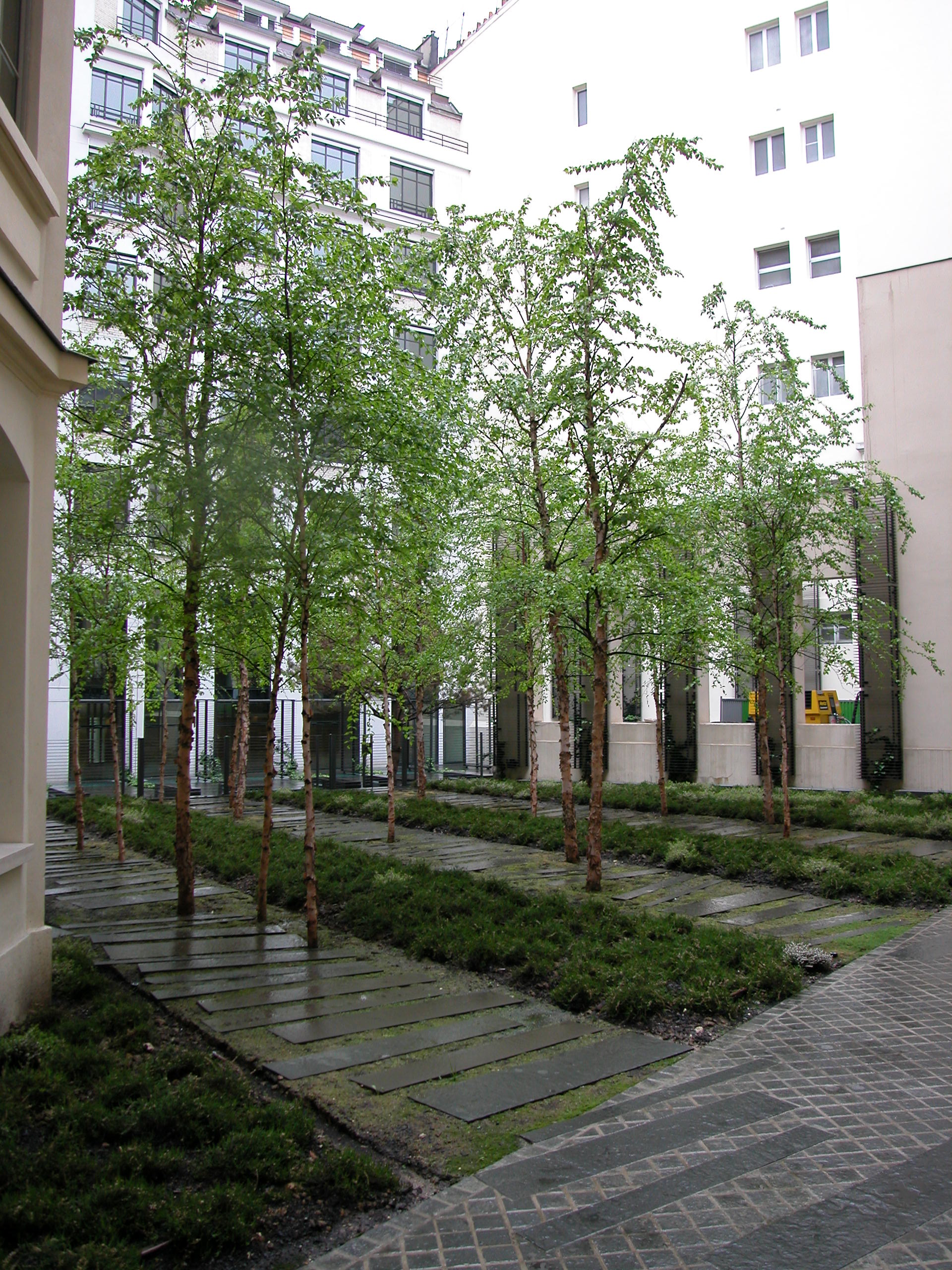 p24_ENLP_001